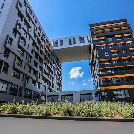 Square 21 Number 8 Tirana